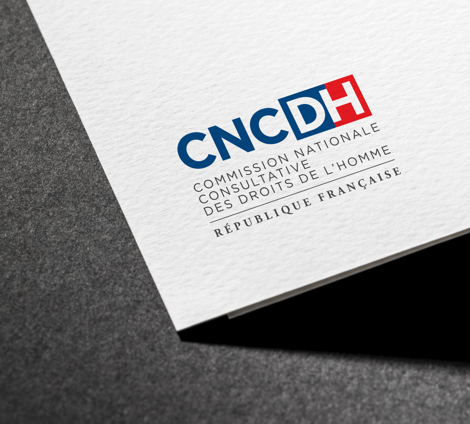 création logo design graphique CNCDH print identité visuelle